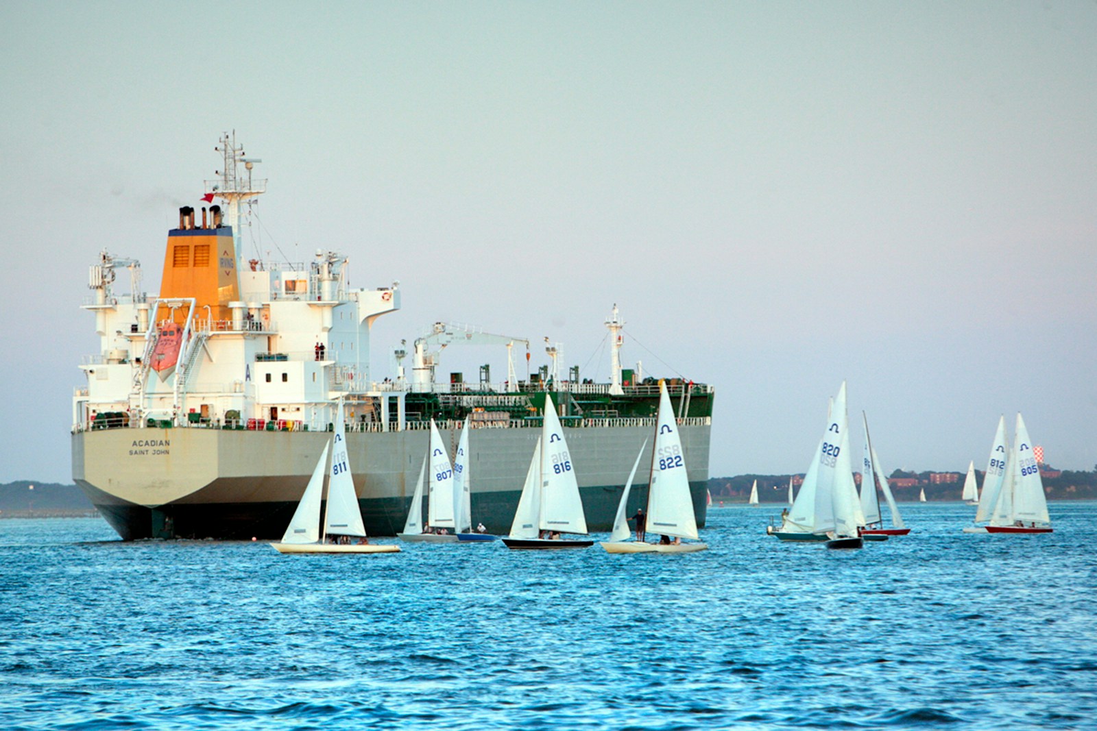 a group of sailboats in the water near a large ship
